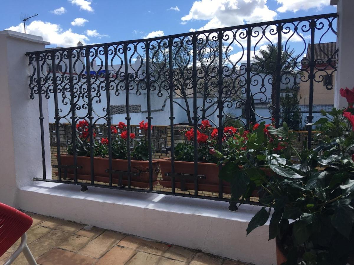 Geranium House Villa Seville Luaran gambar
